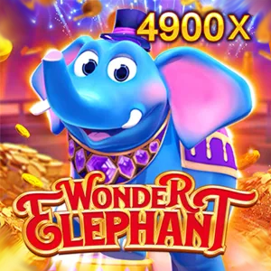 Wonder Elephant