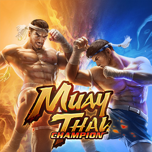 Muay Thai Champion
